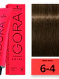 IGORA ROYAL 6-4 Rubio Oscuro Beige - Miniatura 1