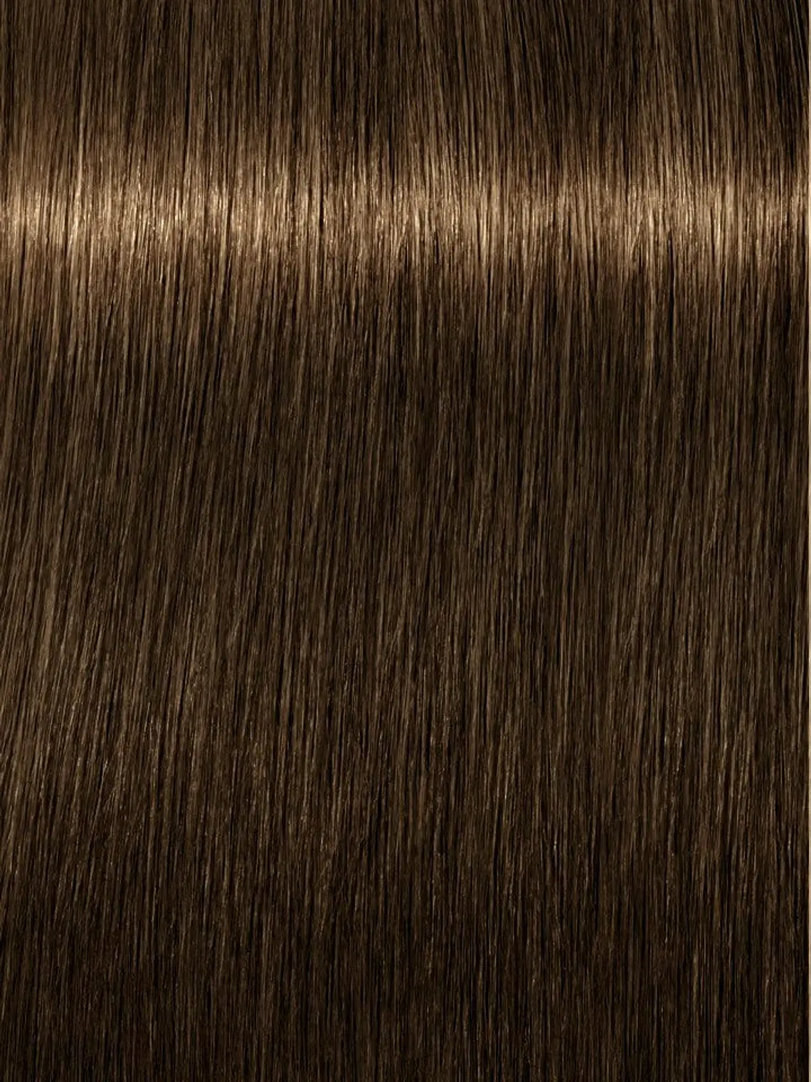 IGORA ROYAL 6-4 Rubio Oscuro Beige 2