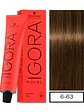 IGORA ROYAL 6-63 Rubio Oscuro Marrón - Miniatura 1