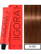 IGORA ROYAL 6-65 Rubio Oscuro Marrón Dorado - Miniatura 1