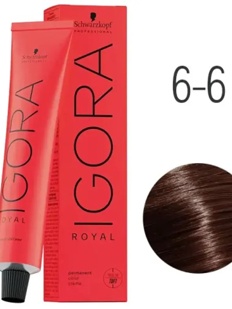 IGORA ROYAL 6-6 Rubio Oscuro Marrón 1