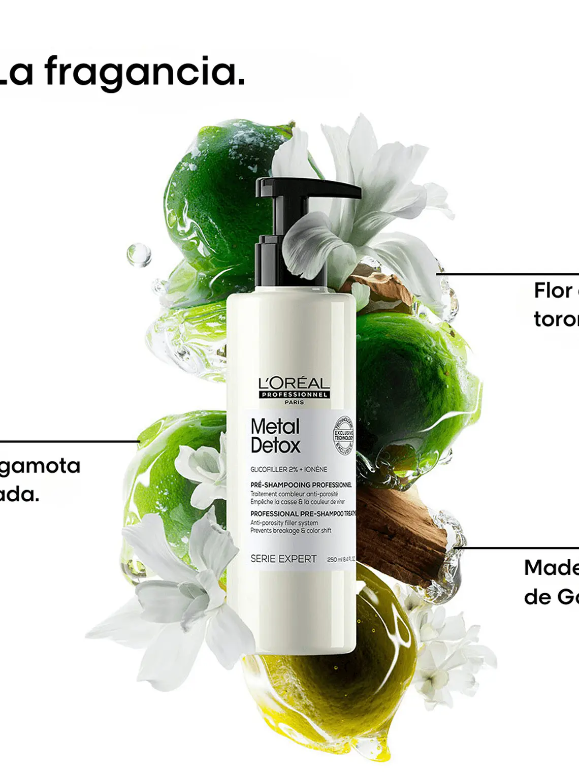 Tratamiento Pre-Shampoo Relleno de Porosidad L'Oréal Metal Detox 250ml 3