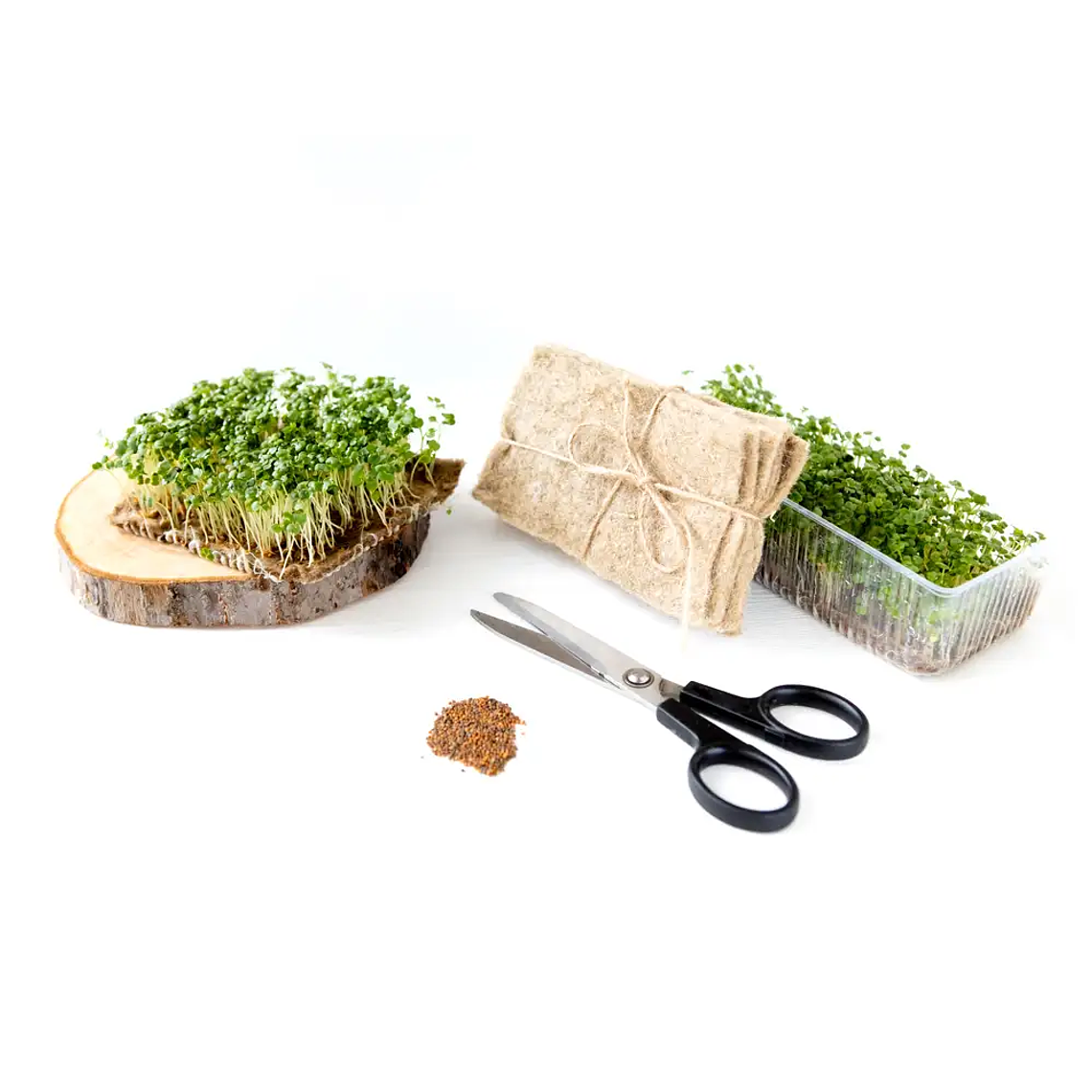 Kit de inicio de semillas de demostración 2