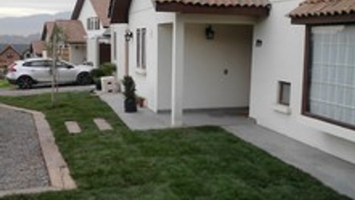 Pasto Alfombra Natural en Rollo (Mezcla Estadio Premium) 2