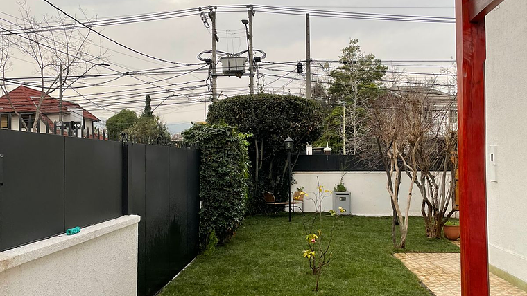 Pasto Alfombra Natural en Rollo (Mezcla Estadio Premium) 3