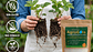 AgroGota 1 Kg  Hidrogel Retenedor de Agua (Polímero de Potasio) para Jardín y Plantas - Miniatura 5