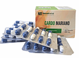Cardo Mariano - 60 Cápsulas 500 mg.