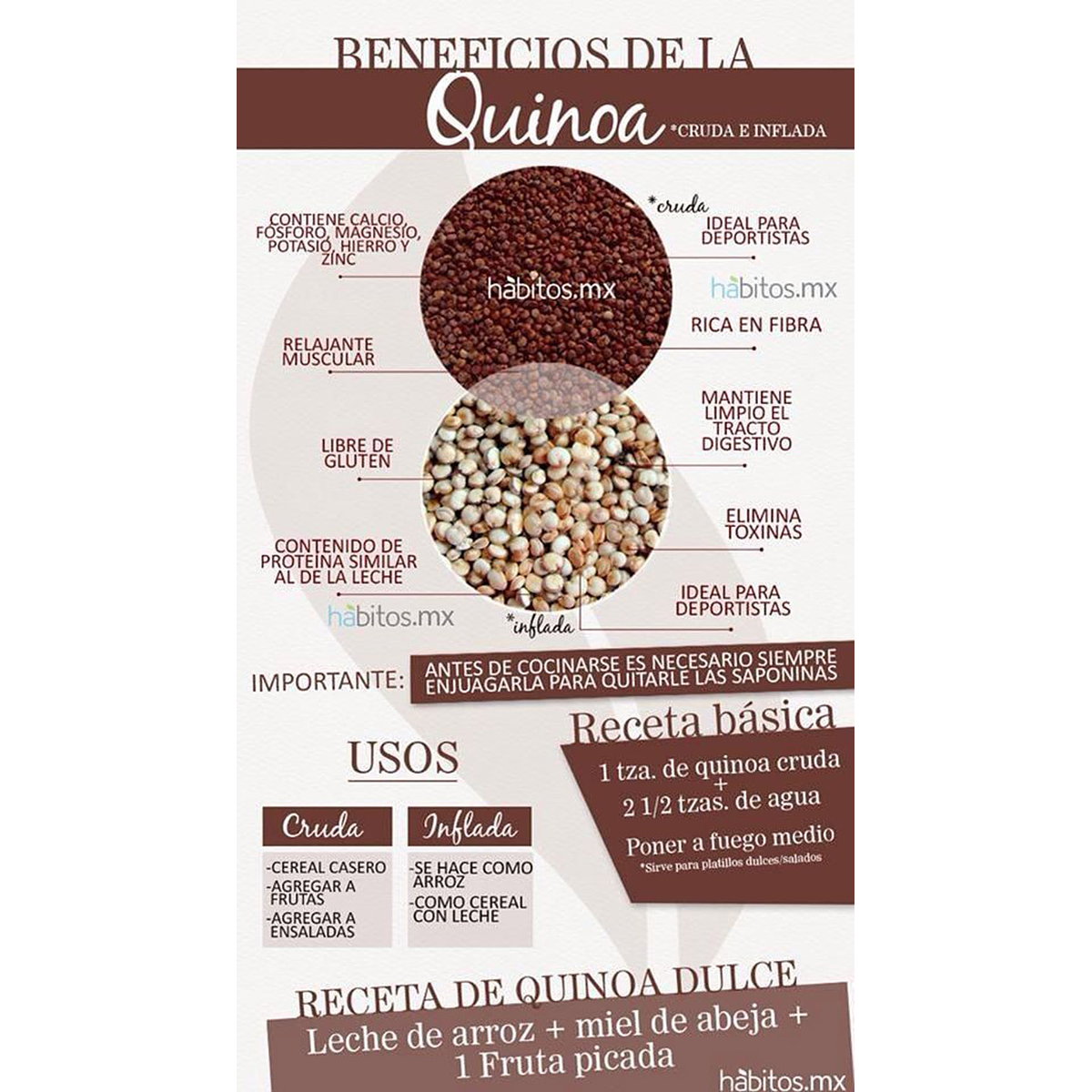 Para que sirve la quinoa y cuales son sus beneficios