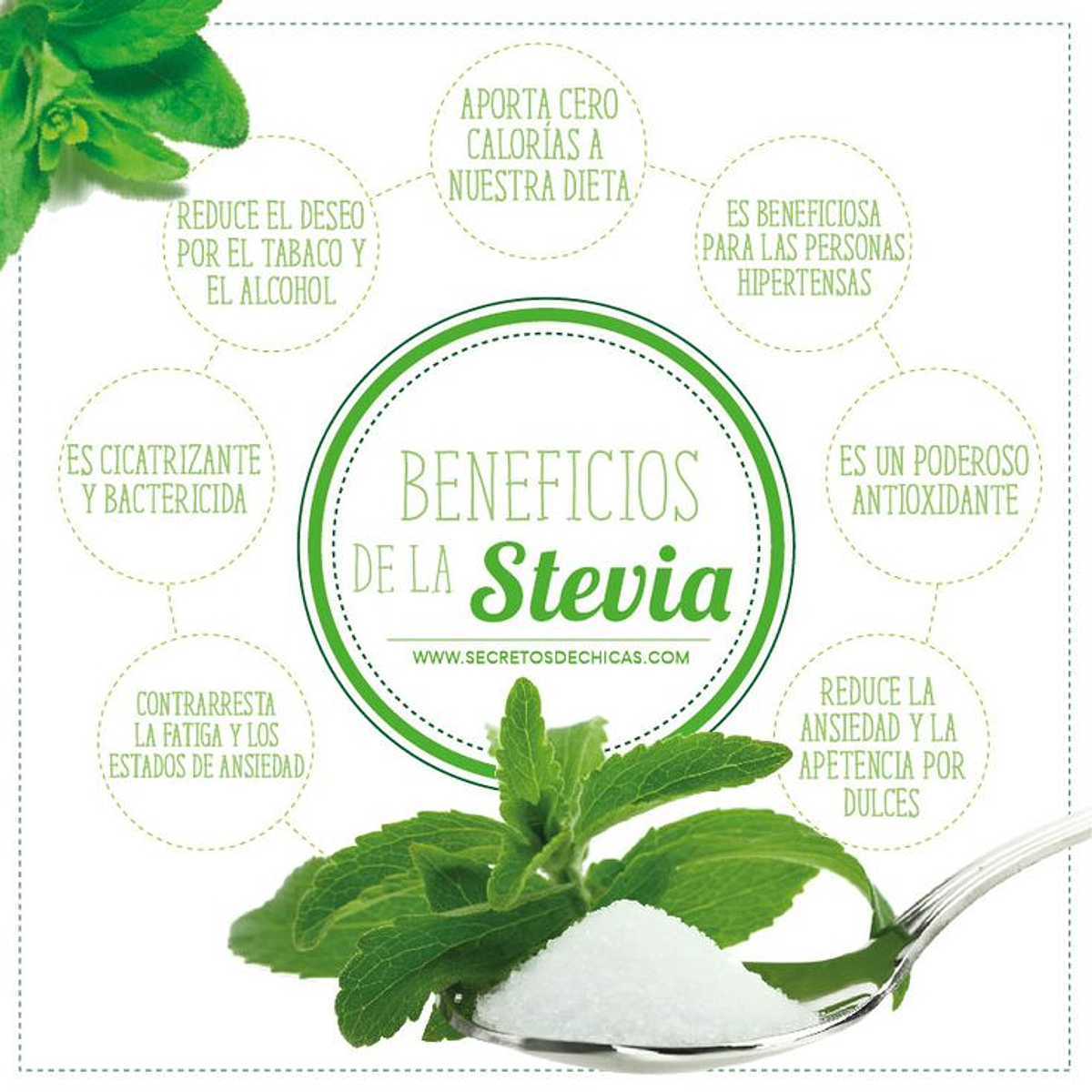 ¿Para que sirve la stevia?