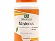 Maytenus (Chuchuhuasi) - 60 Cápsulas 500 mg.