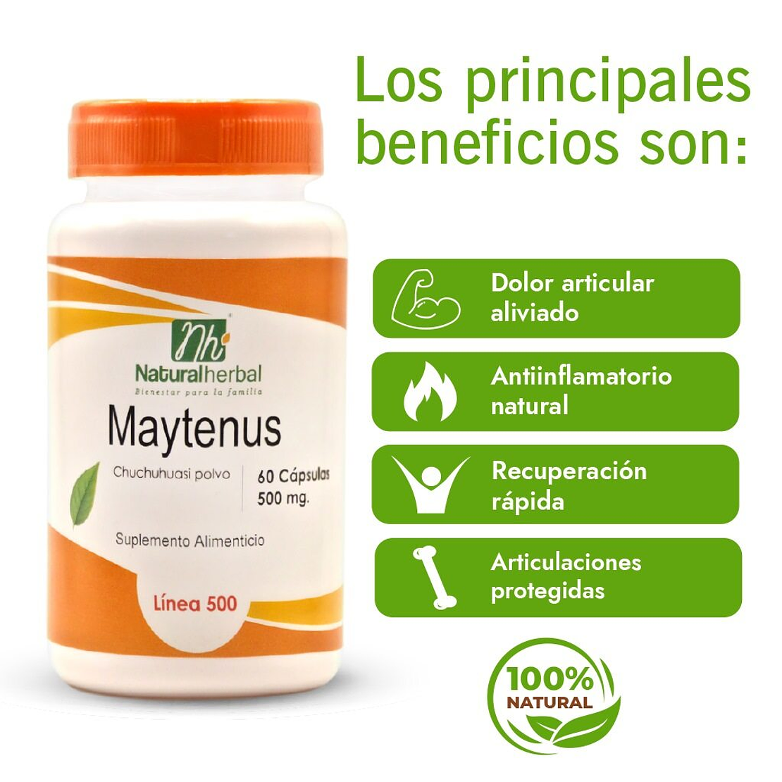 Maytenus (Chuchuhuasi) - 60 Cápsulas 500 mg. 4