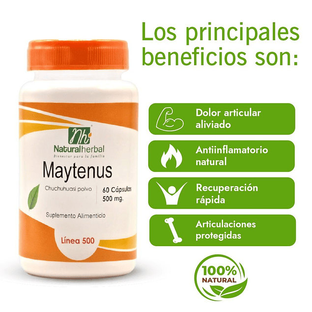 Maytenus (Chuchuhuasi) - 60 Cápsulas 500 mg.
