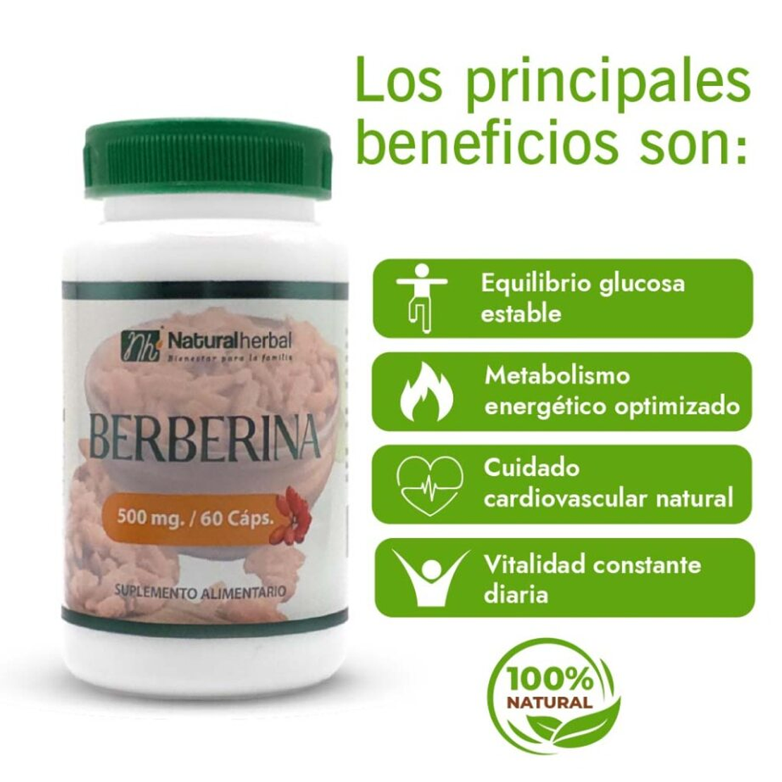 Berberina 500 mg x 60 caps 4