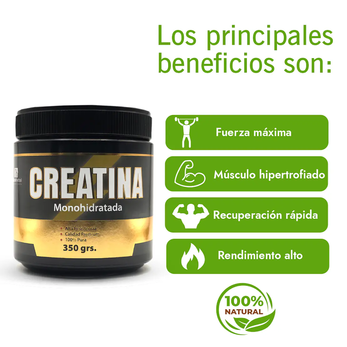 Creatina Monohidratada, 350gr 2