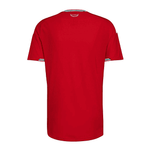 PAÍS DE GALES I 2026 WORLD CUP HOMBRE