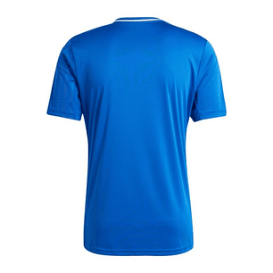 AVS FUTEBOL SAD III 25/26 HOMBRE