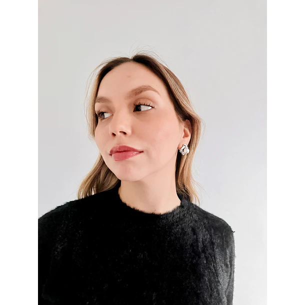Aro Diana Acero Quirúrgico Araiz 5