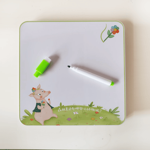 Caja metálica con imanes + tarjetas + pizarra: Animales