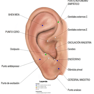 Cartografía Auriculoterapia (Tamaño Carta) Depresión