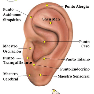 Cartografía puntos maestros