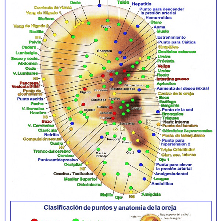 Cartografía Plastificada Tamaño Carta 1