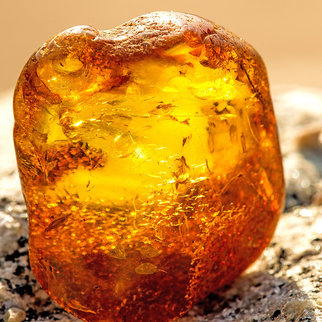 Aceite Esencial Krishna Aroma Ambar 15ml 1