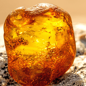 Aceite Esencial Krishna Aroma Ambar 15ml