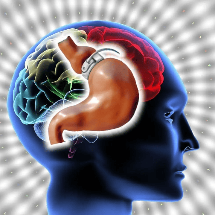 Banda Gástrica Virtual 2