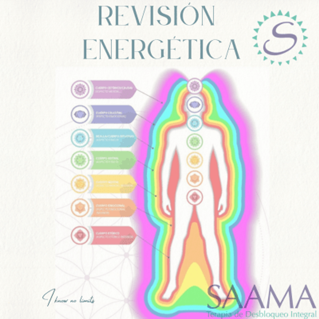 Revisión Energética a Distancia 1