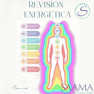 Revisión Energética a Distancia