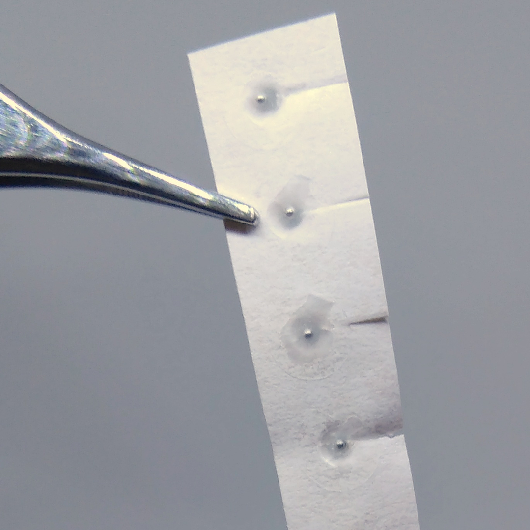 Balines Bledkar Parche Transparente 3