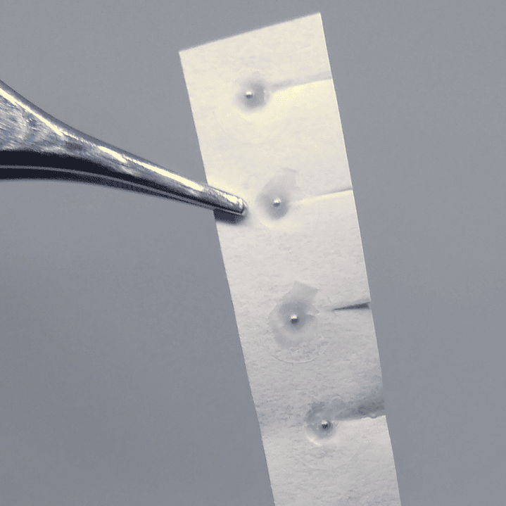 Balines Bledkar Parche Transparente 3