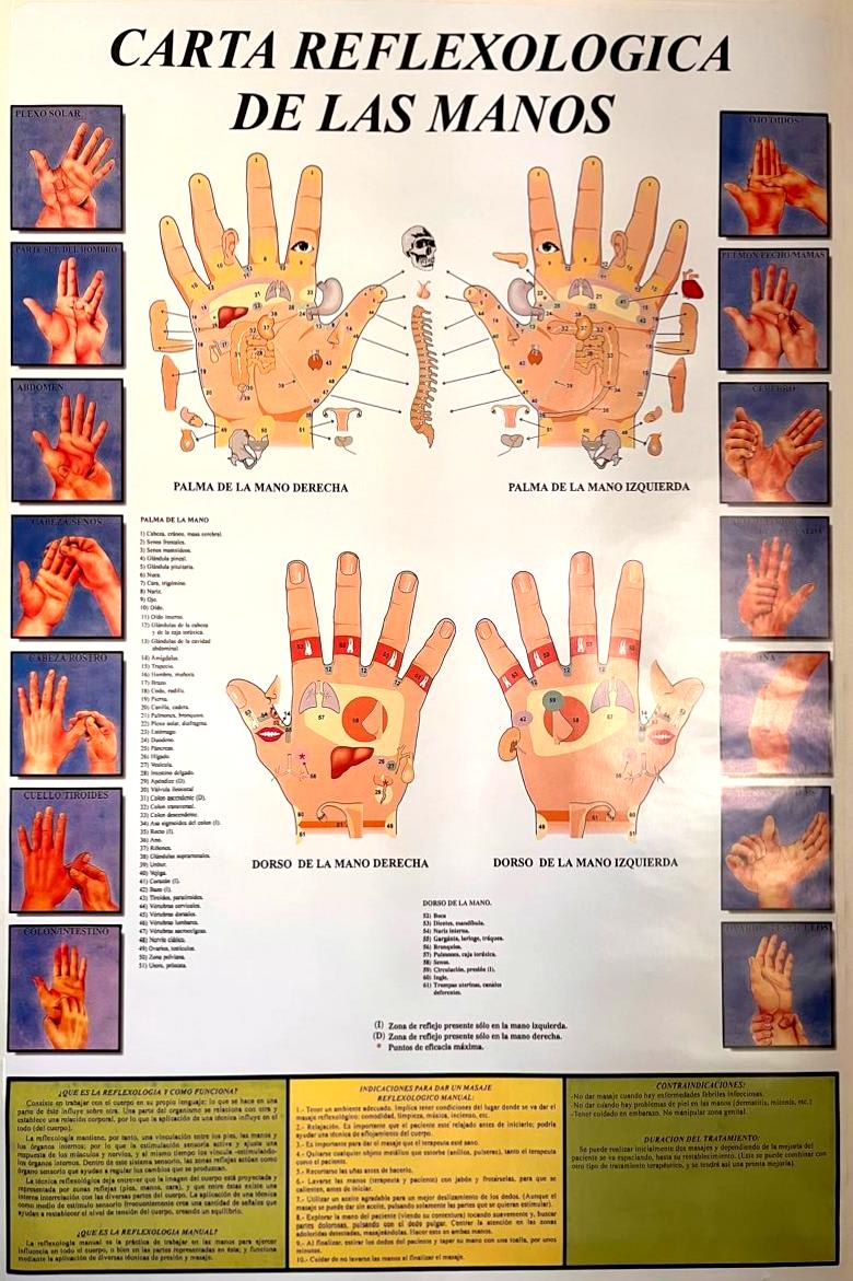 Poster Reflexología Manos 56x86 cms