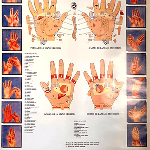 Poster Reflexología Manos 56x86 cms