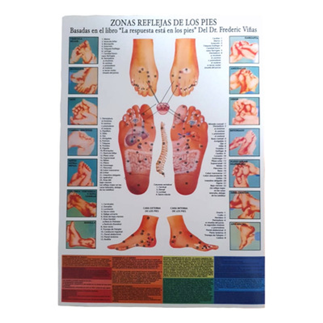 Poster Reflexología Pies 56x86 cms 1