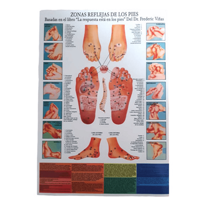 Poster Reflexología Pies 56x86 cms 1