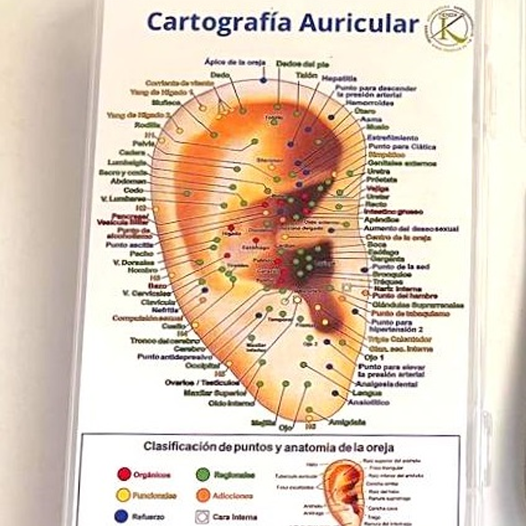 Cajita para tus insumos 1
