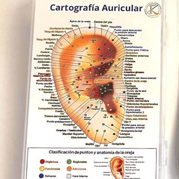 Cajita para tus insumos 1
