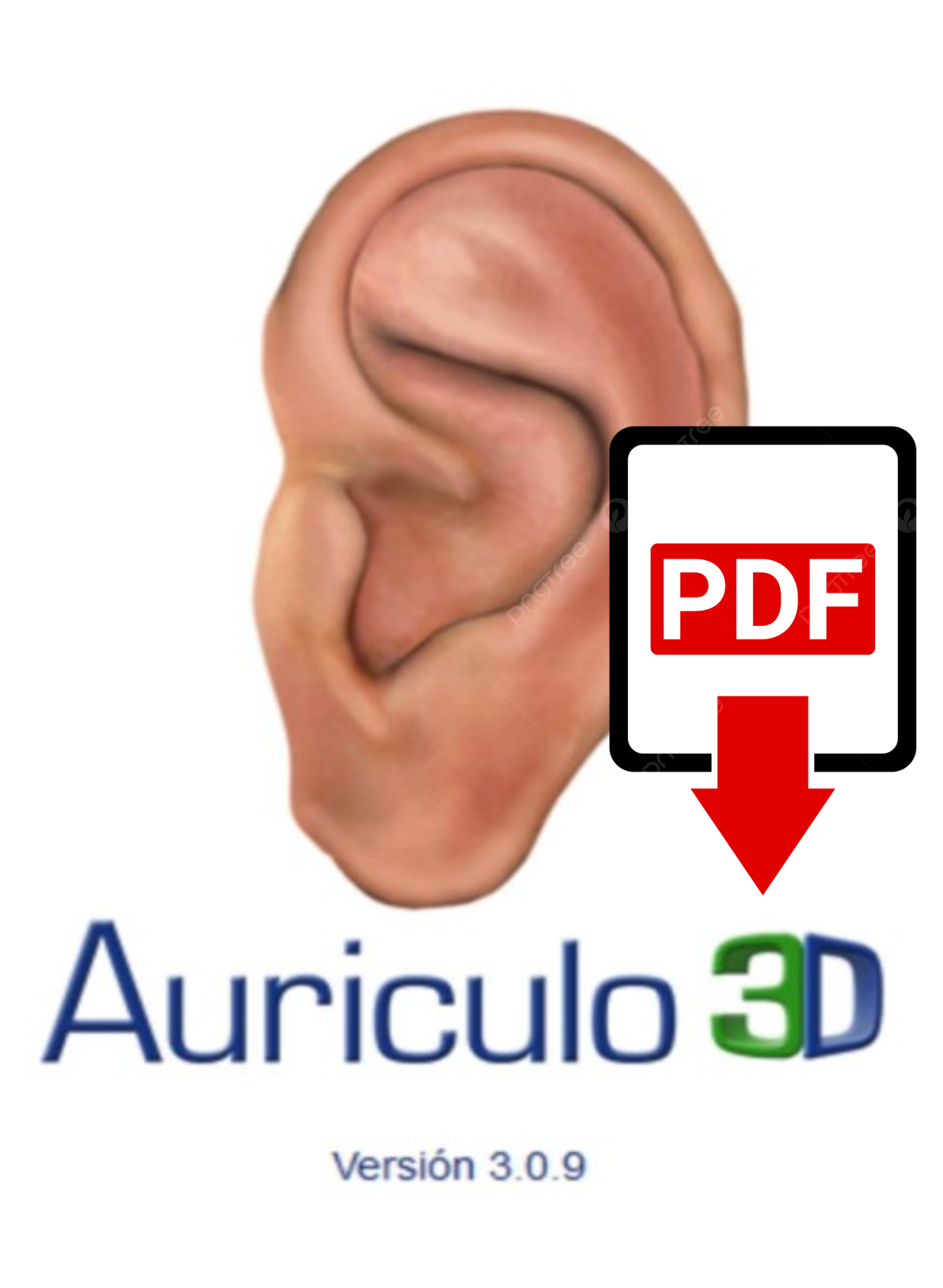Auriculo 3D pdf