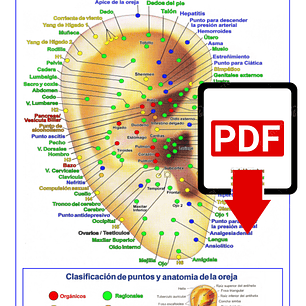 Cartografía Auricular PDF