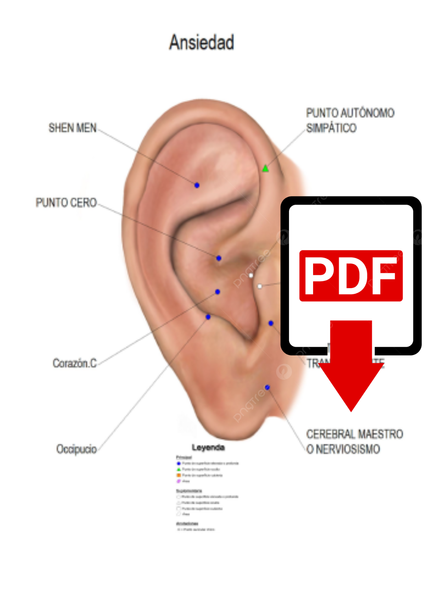 Cartografía Ansiedad PDF