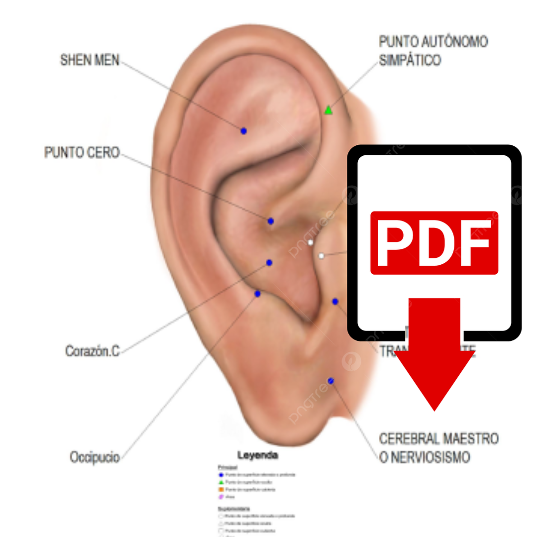 Cartografía Ansiedad PDF 1