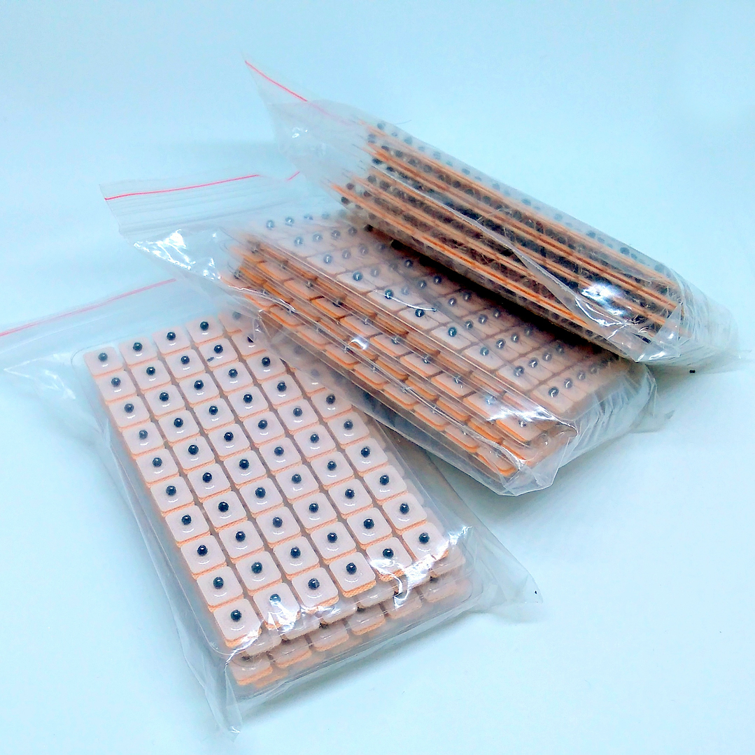 Semillas De Vaccaria 600u 4