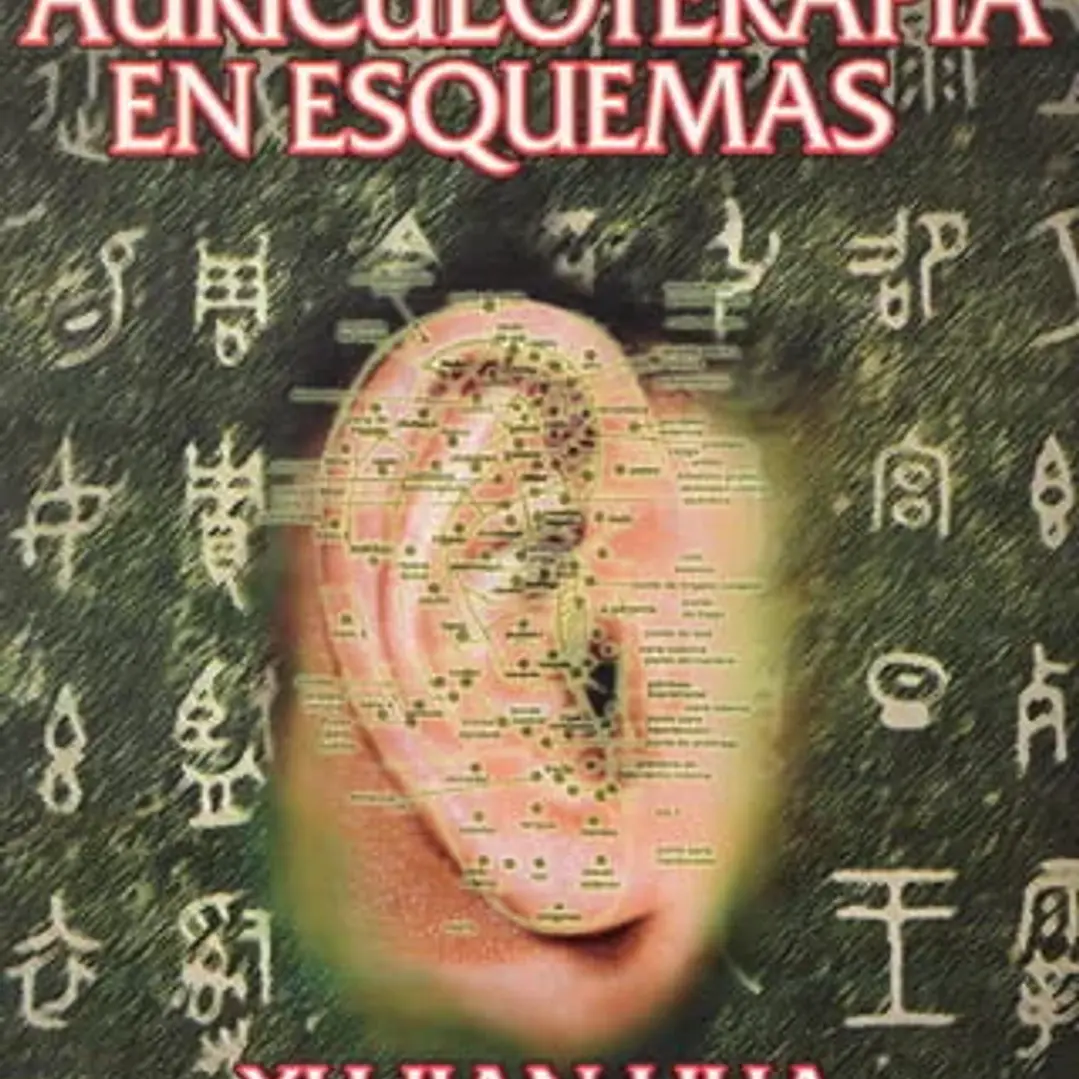 Auriculoterapia en Esquemas, libro físico, usado, excelente estado 1
