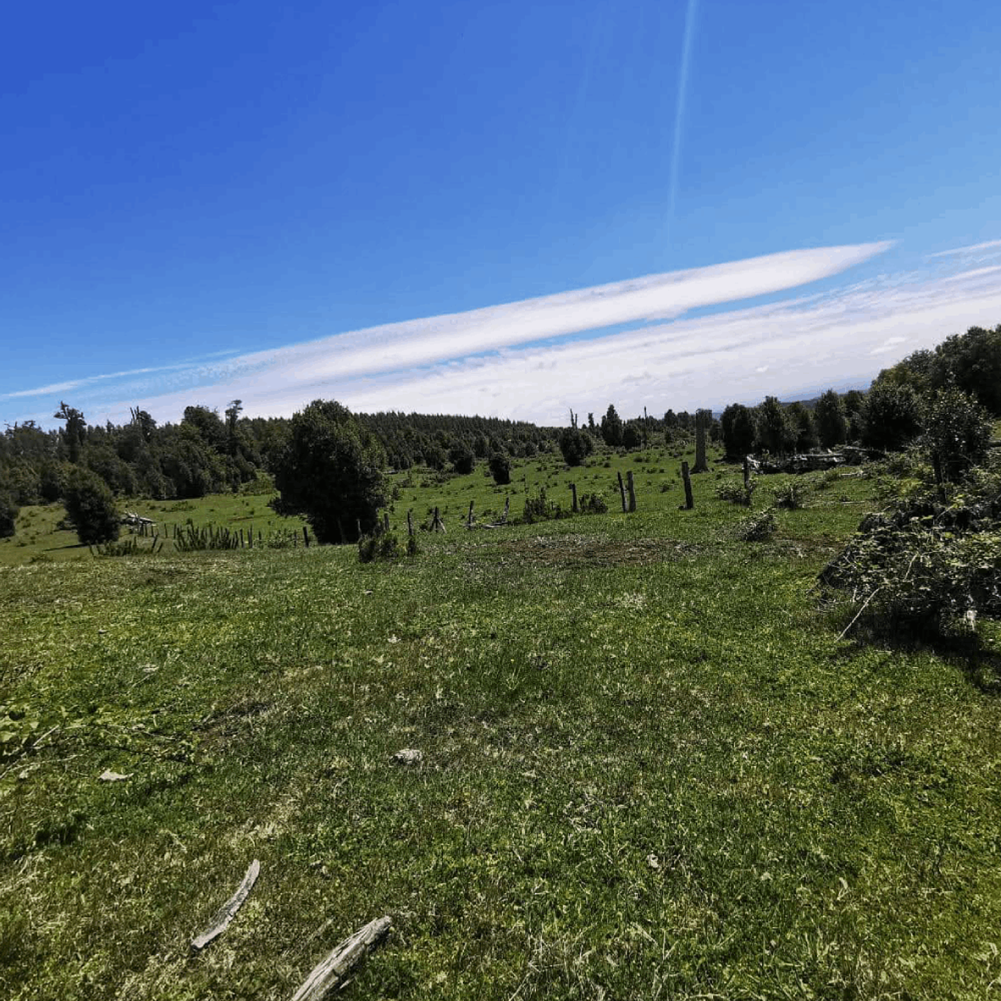 PARCELA 112 HECTAREAS PRECORDILLERA: Agua, Naturaleza y Potencial sin Límites 4