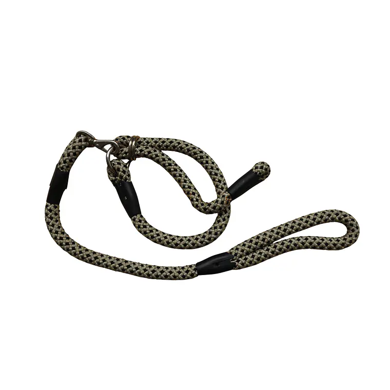 Collar para Mascota 1