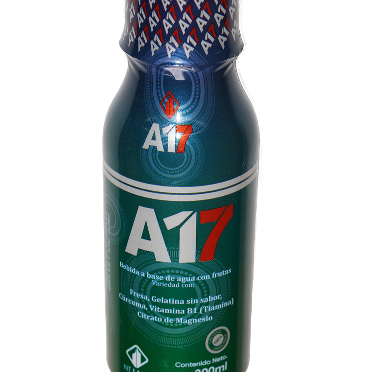 A17 1