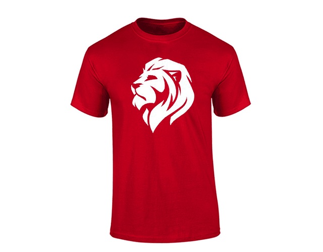 Camiseta hombre - León LAD