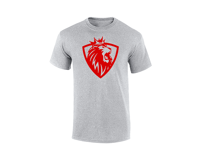 Camiseta hombre - León Rey
