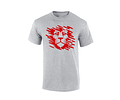 Camiseta hombre - León Manchas